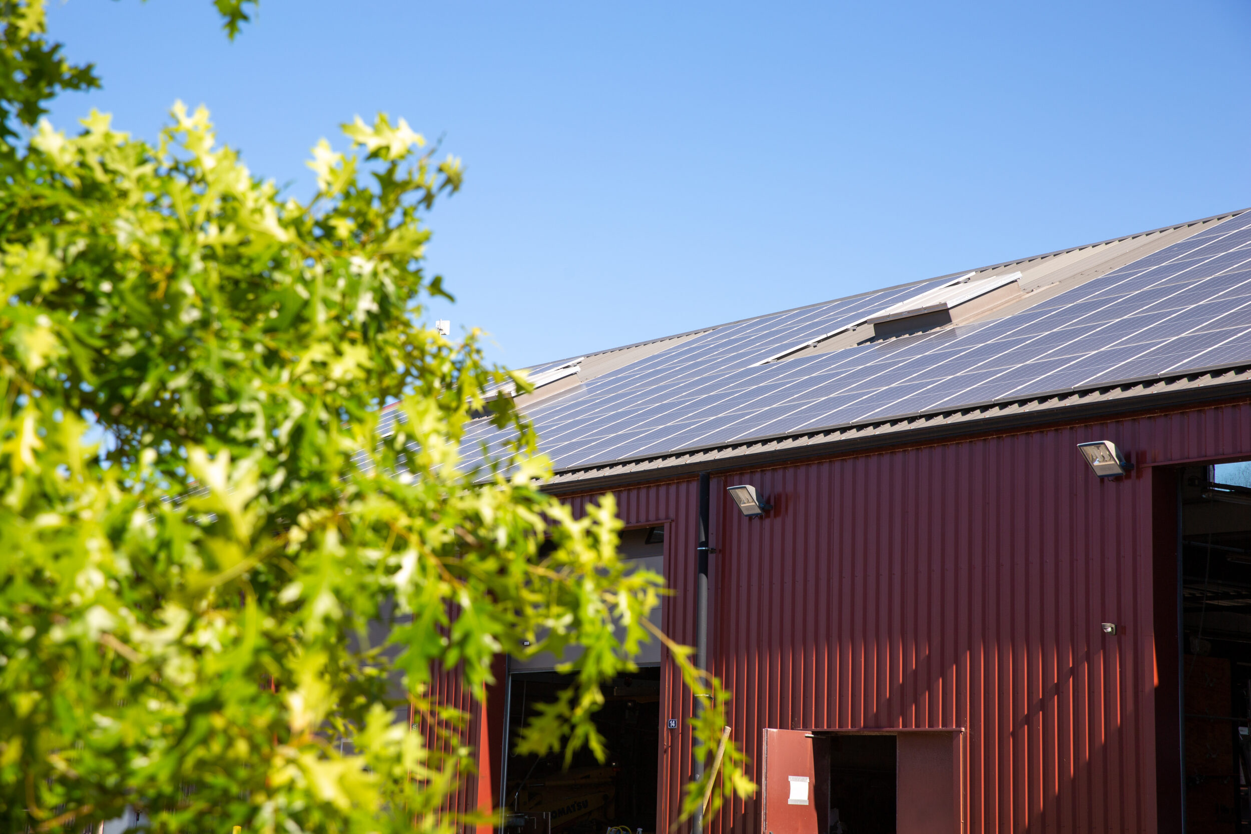 Un arbre et une entreprise avec des panneaux solaires