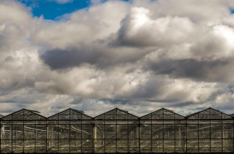 serre photovoltaique agricole