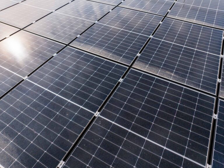 EDF solutions solaires s'implante en Tunisie