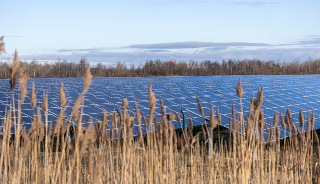 ombrière photovolltaique agricole