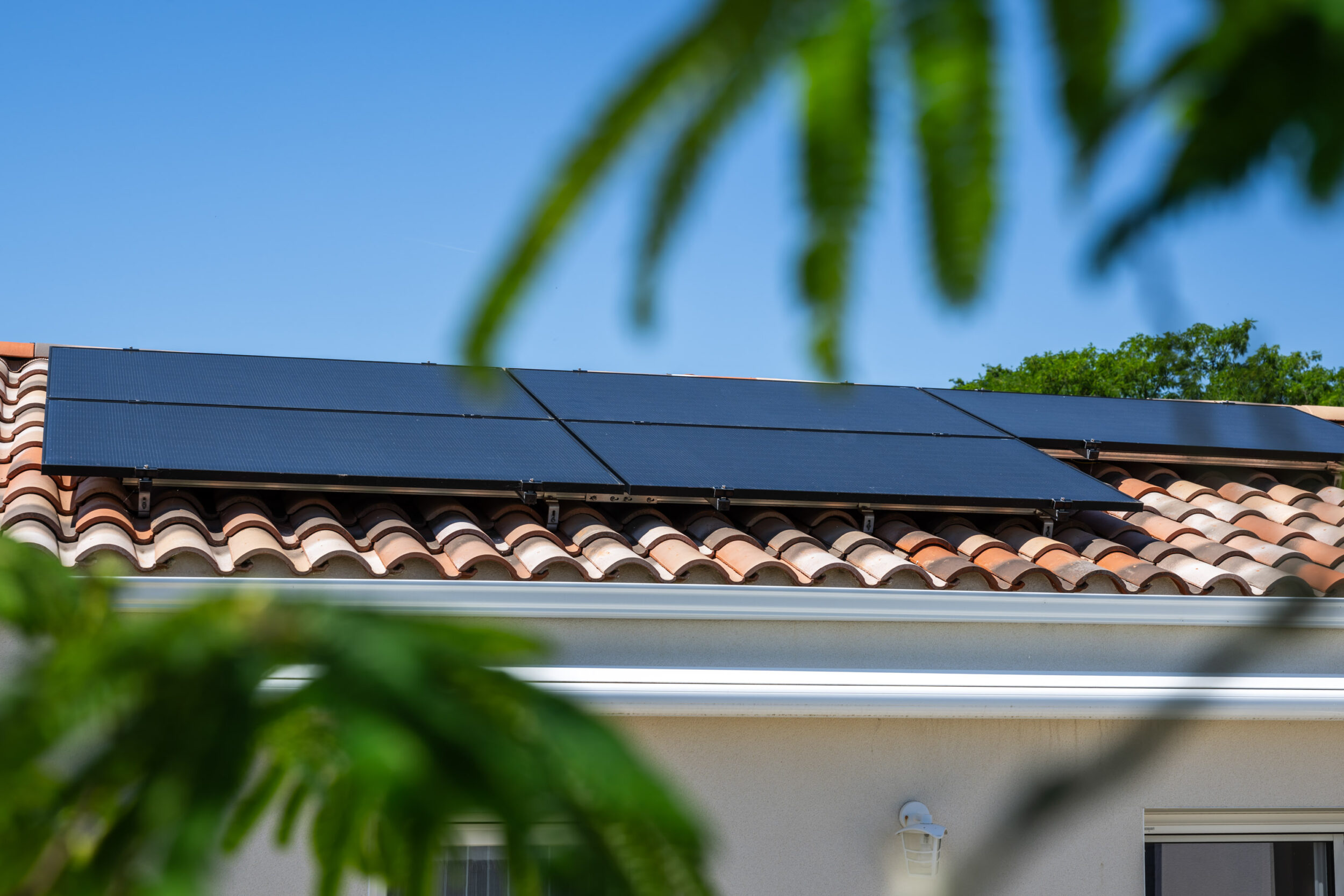 panneaux solaires dans un environnement arboré